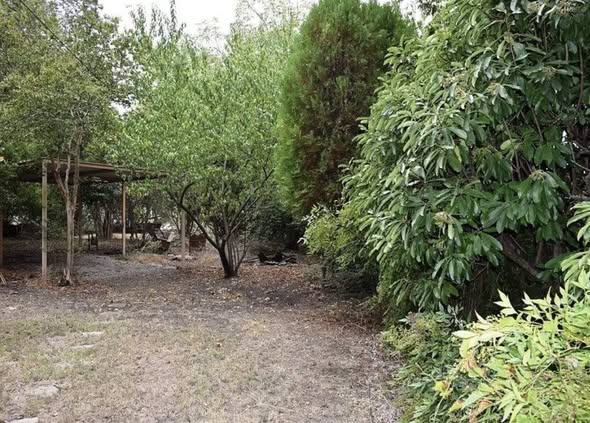 Front yard lawn refresh project