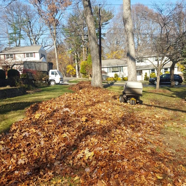 Seasonal cleanup project